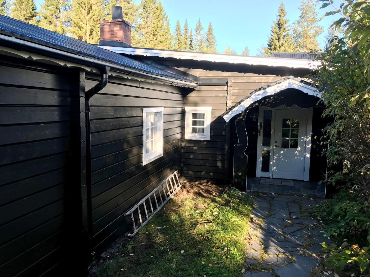 Valkojan Naturby - Timber Cottages Vemdalen Dış mekan fotoğraf