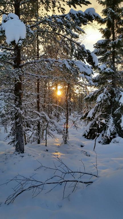 Valkojan Naturby - Timber Cottages Vemdalen Dış mekan fotoğraf